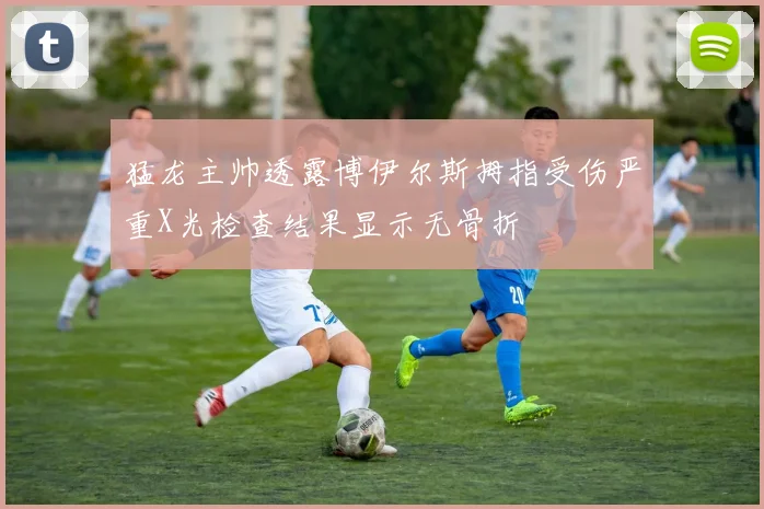 猛龙主帅透露博伊尔斯拇指受伤严重X光检查结果显示无骨折