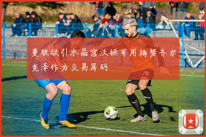 曼联欲引水晶宫沃顿可用梅努齐尔克泽作为交易筹码