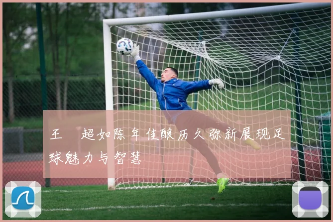 王燊超如陈年佳酿历久弥新展现足球魅力与智慧