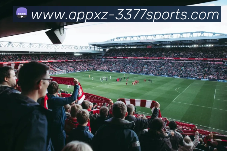 3377体育发展历程